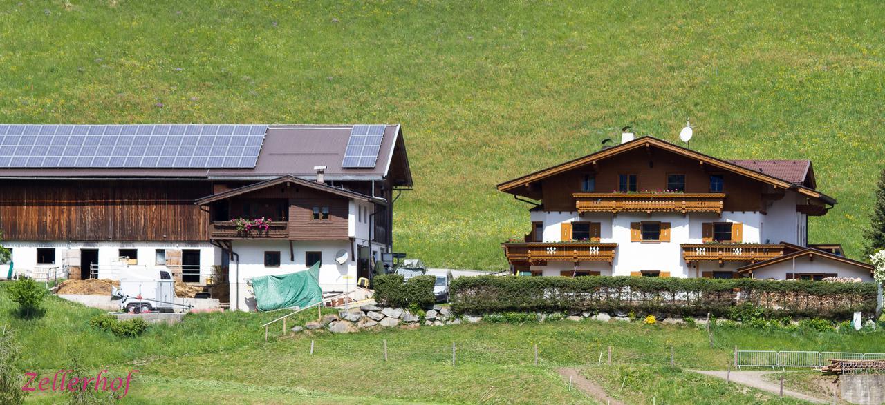 Zellerhof Lägenhet Finkenberg Exteriör bild